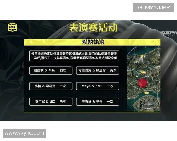 NV公司积极布局PEL市场推动行业创新与发展