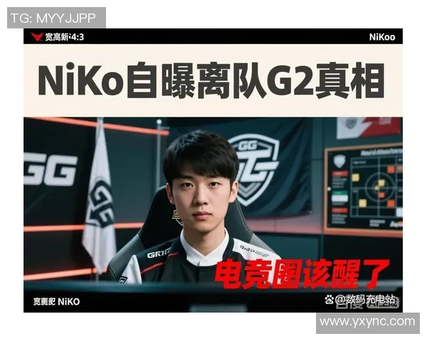 ZEM精英挑战赛中NiKo意外受伤引发电竞圈广泛关注与讨论